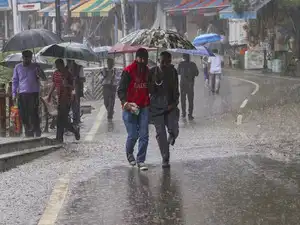 Rain