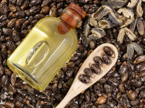 Castor Oil - Growth Booster