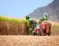 Sugarcane to sustainability: India gets its first fully integrated PLA plant as Balrampur Chini unveils Bioyug
