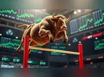 Bull Market