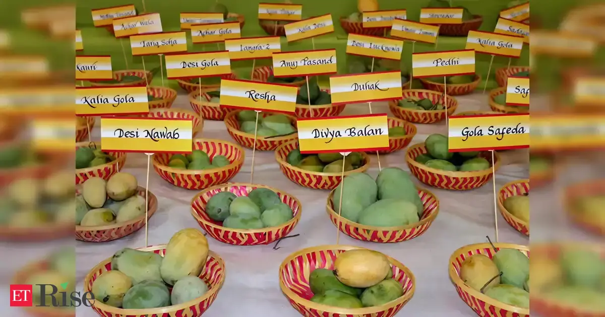 Indian mangos make splash at ‘Aam Mahotsav’ in China's Guangzhou