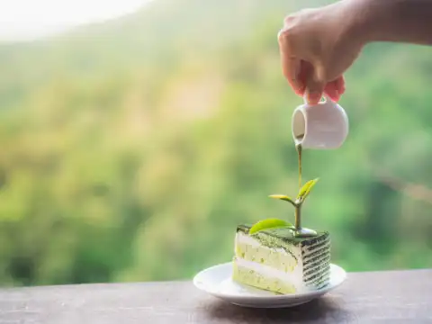 Matcha towel cake 