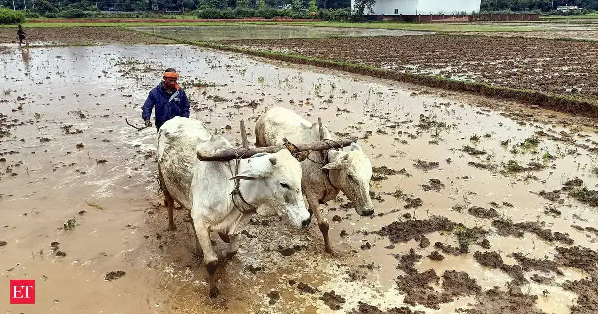 Investment of USD 75 bn needed for Indian farmers to adapt to climate change impact: IFAD President