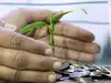 Best large cap mutual funds to invest in July 2025