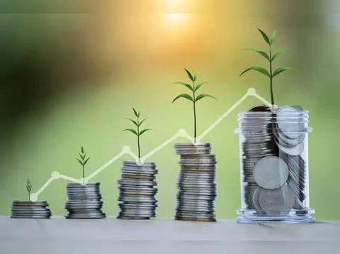 Flexi Cap Funds