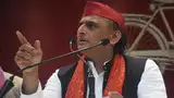 Don't involve kids in politics: Akhilesh Yadav as Gorakhpur girl praises Yogi, berates him in video