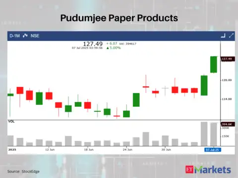 Pudumjee Paper Products