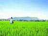 Govt to reopen 8 urea plants to boost output