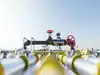 India aims to import about 10% of its cooking gas from US from 2026, say sources