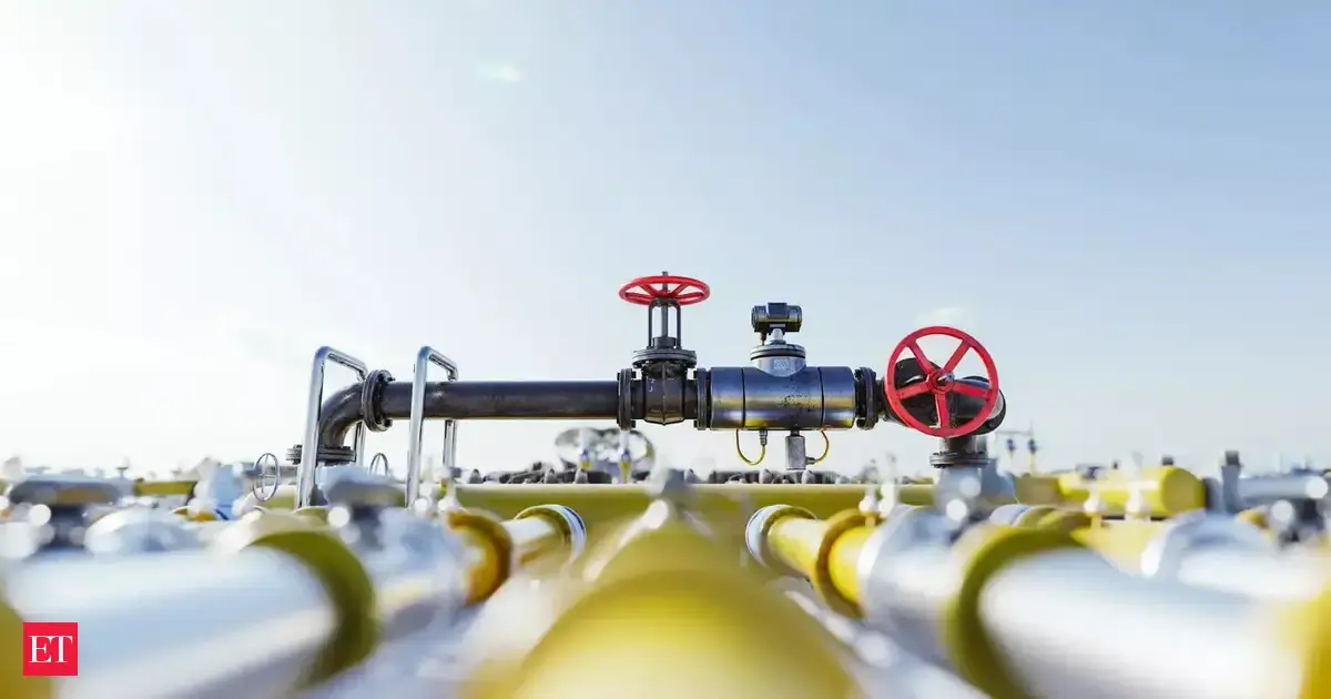 India aims to import about 10% of its cooking gas from US from 2026, say sources