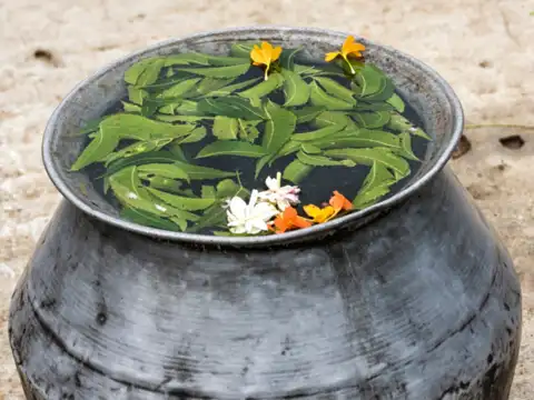Neem Water