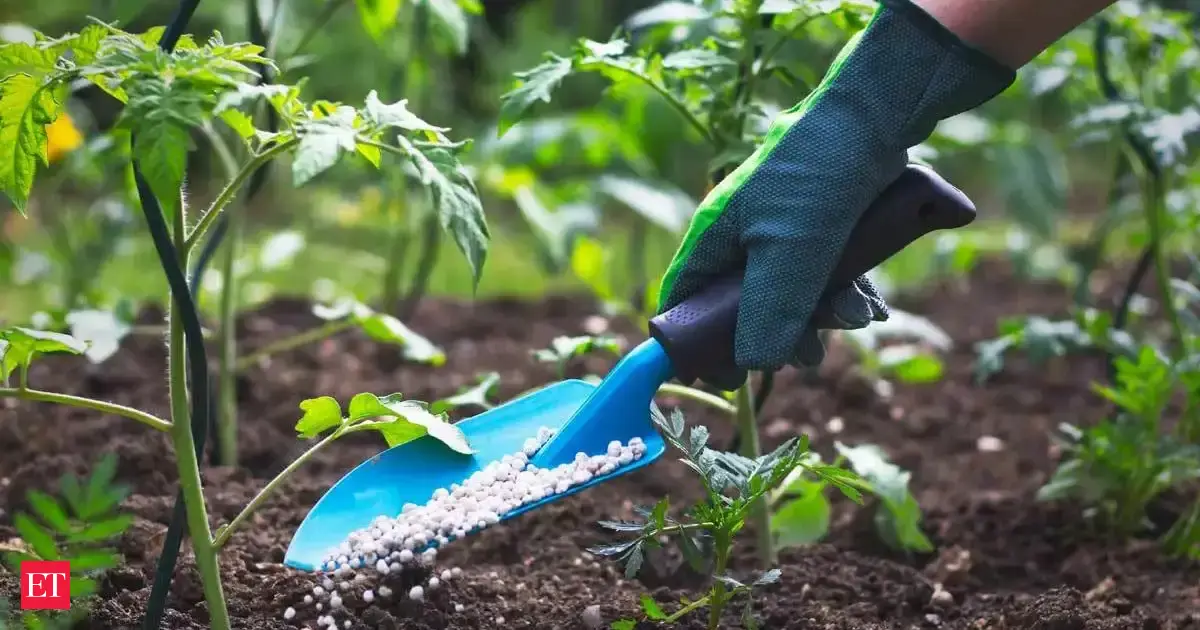 Fertiliser companies turn to EU, Russia &amp; West Asia as China halts exports
