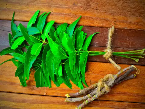 Neem (nature&rsquo;s blood purifier)