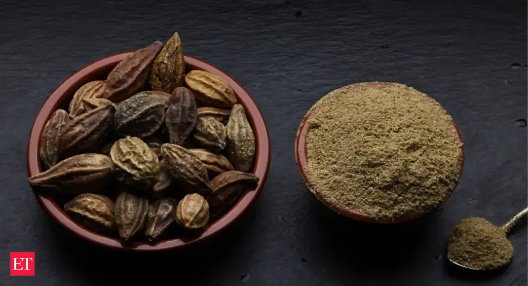 6 Ayurvedic herbs that could be the natural cleanse your body needs
