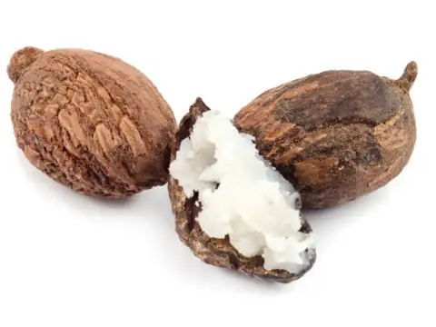 Africa &ndash; Shea Butter for Deep Moisture