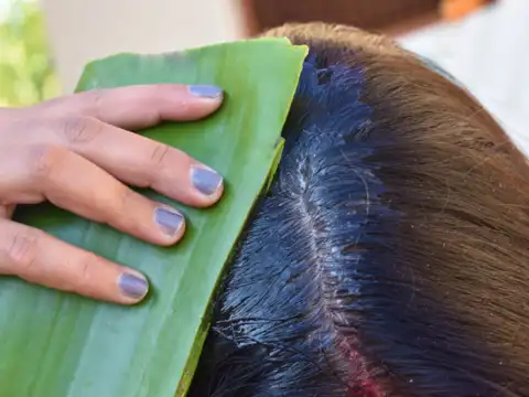 Try aloe vera for calming the scalp