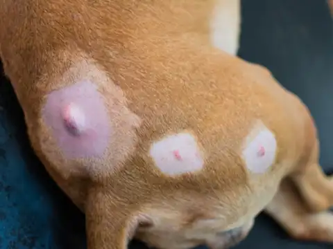 Unusual lumps, bumps, or wounds that don&rsquo;t heal
