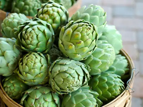 Artichokes