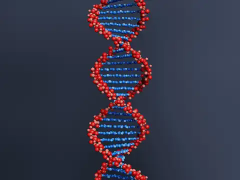 Is it genes or lifestyle that helps you live to 95?