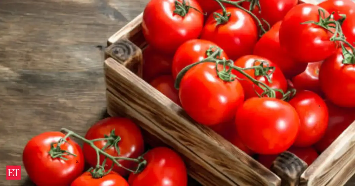 US tomato tariffs: Prices set to explode: Trump's tariffs could make your tomatoes cost more than steak - starting today - The Economic Times