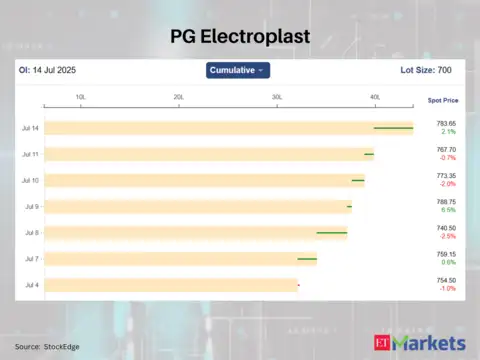 PG Electroplast