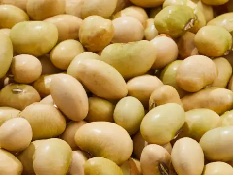 Soybeans