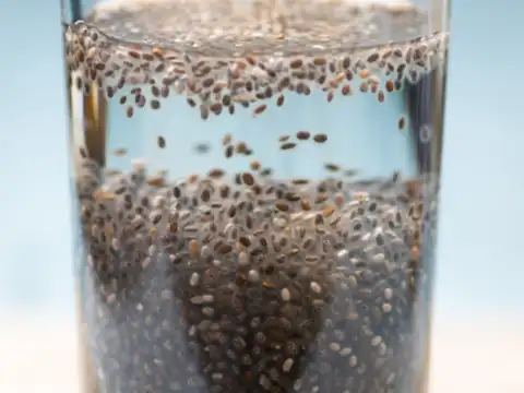 Chia Seeds