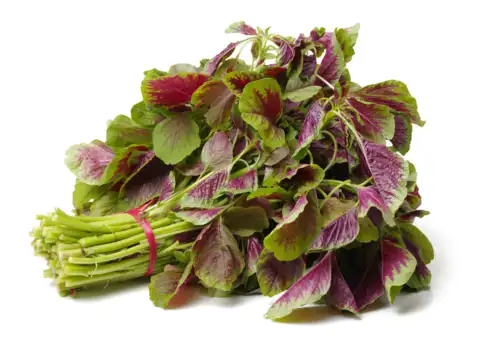Amaranth Leaves (Rajgira)