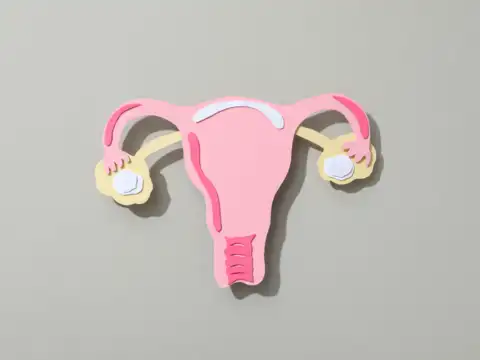 Women&mdash;how your cycle is affected