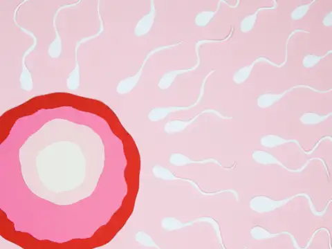 Men&mdash;here&rsquo;s what it does to your sperm