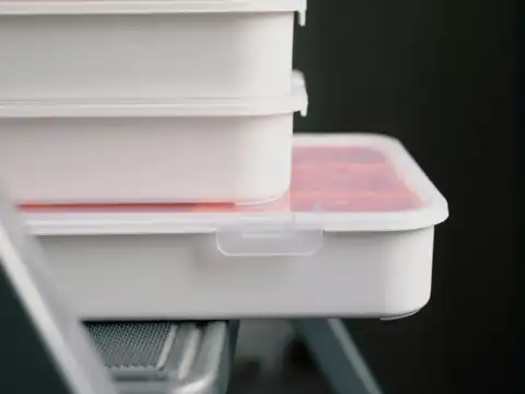BPA&mdash;the sneaky chemical inside