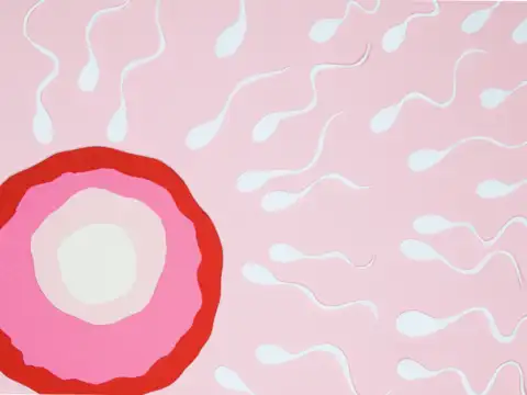 Messing with hormones, one meal at a time