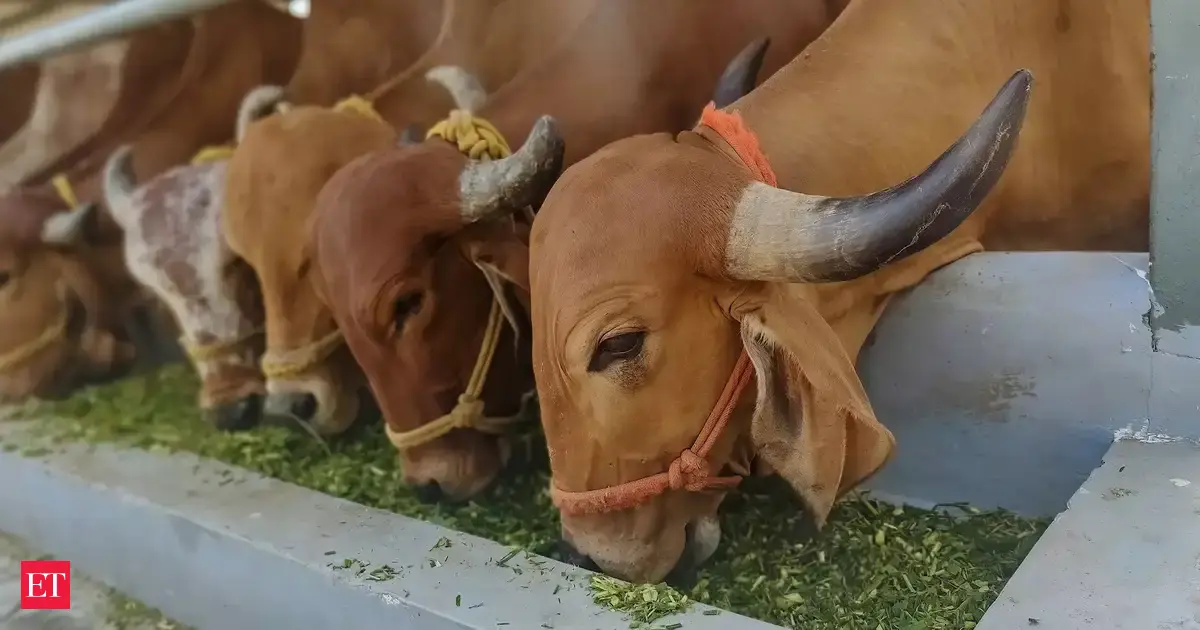 Govt bans 18 antibiotics, 18 antivirals, one anti-protozoan for treatment of livestock