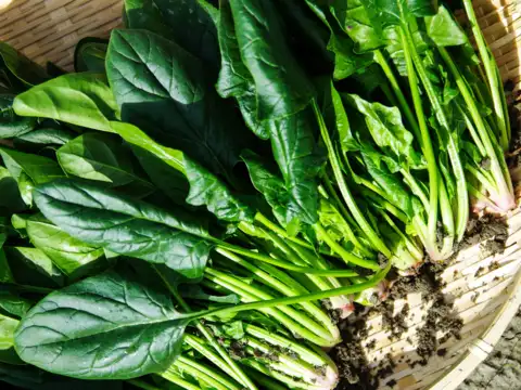 Spinach &mdash; For iron and oxygen flow