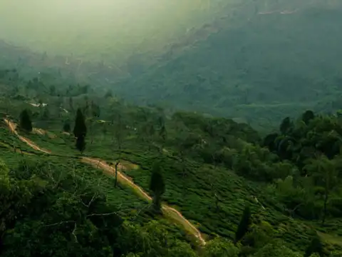 Morni Hills, Haryana
