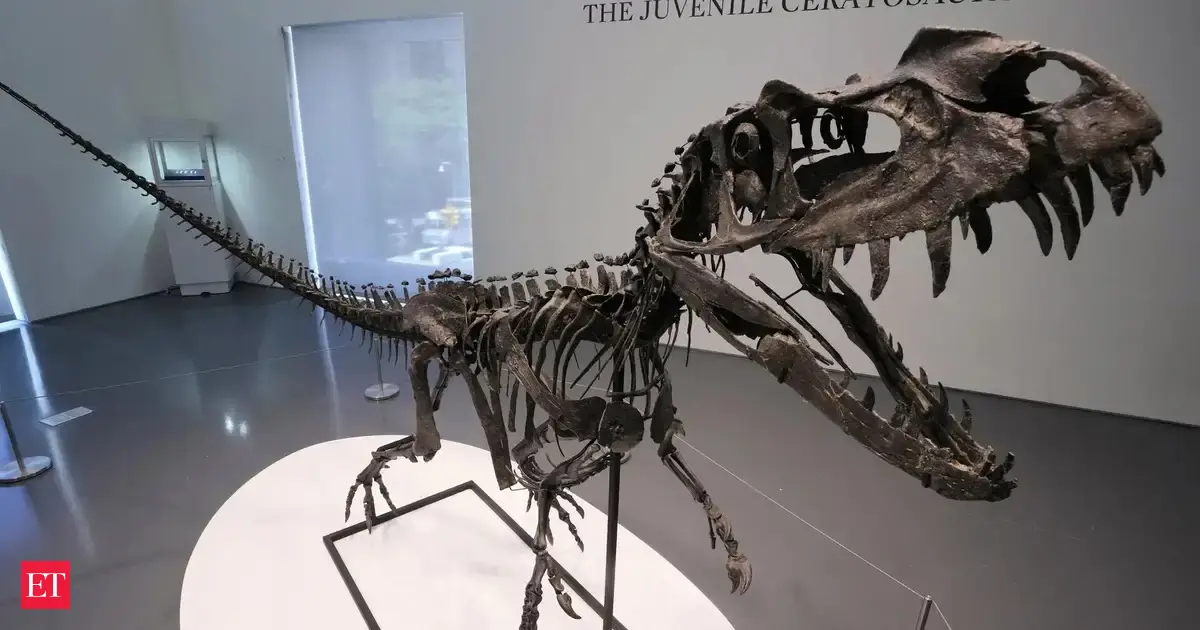 Largest piece of Mars rock goes for $5.3 million, but baby dinosaur fossil grabs attention at Sotheby’s auction; details inside