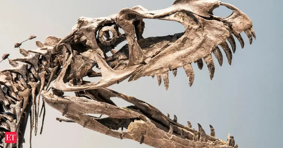 A Rare Juvenile Ceratosaurus Fossil Sells for $30.5 Million