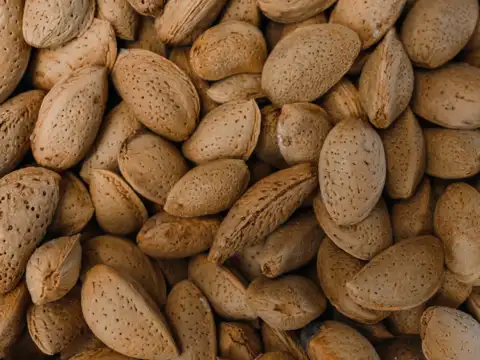 Eat potassium- and magnesium-rich foods