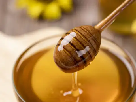 Honey:  the nature&rsquo;s nectar and medicine