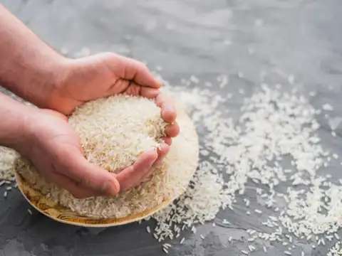  Rice: the eternal staple