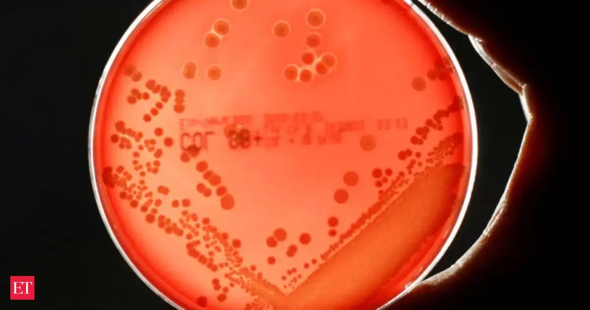 Superbugs Threaten Millions of Lives and Could Cause a  Trillion Economic Crisis by 2050