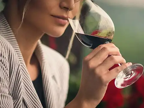 Taste Profile