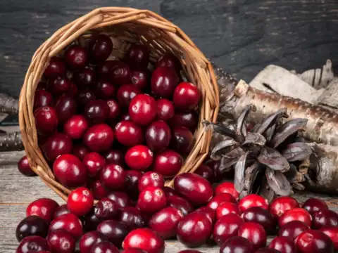 Cranberries 