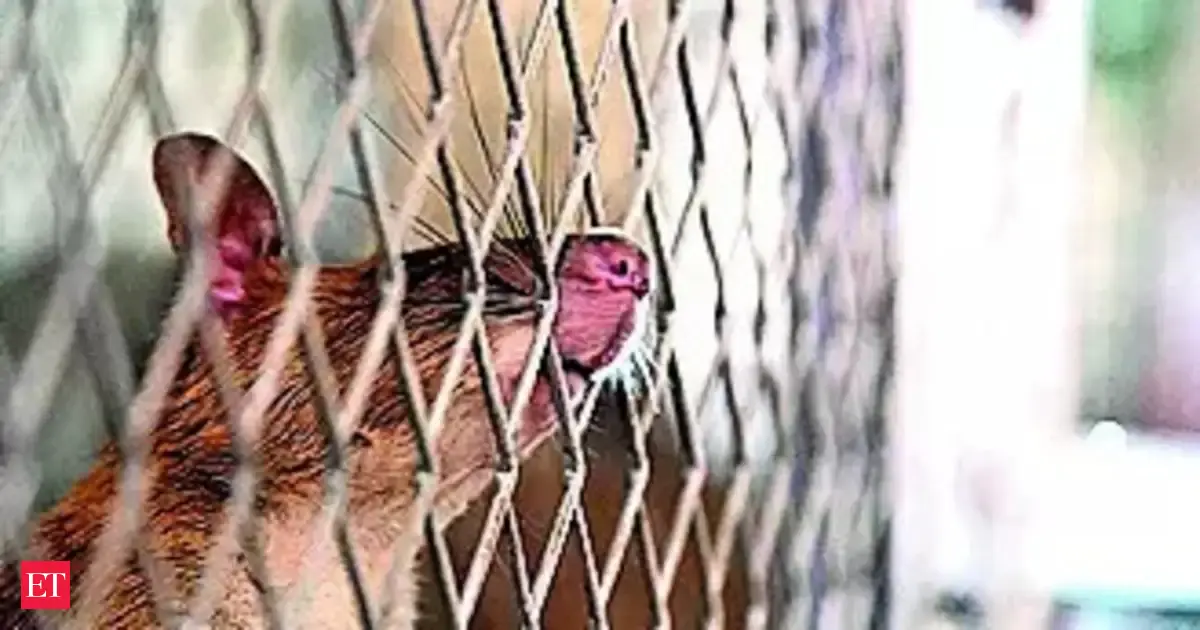 Civil society organisations urge govt to scrap animal testing in biosimilar development