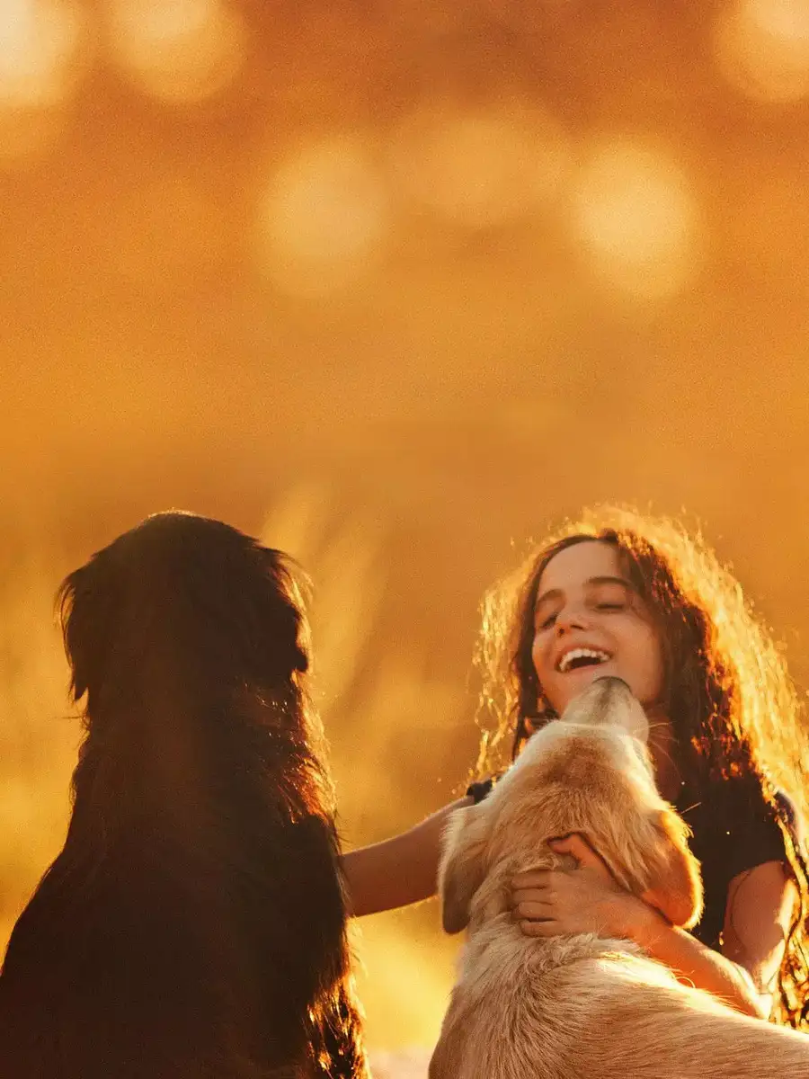 9 easiest pets to train for kids | EconomicTimes