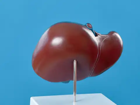 Better bile flow
