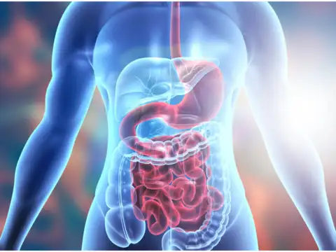 Smoother bowel movement
