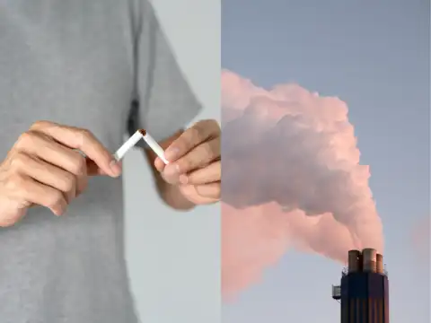 Quit & avoid pollutants