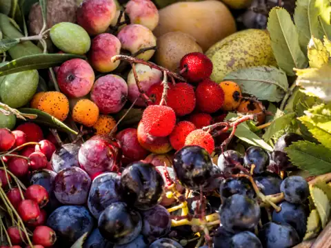 Eat antioxidants