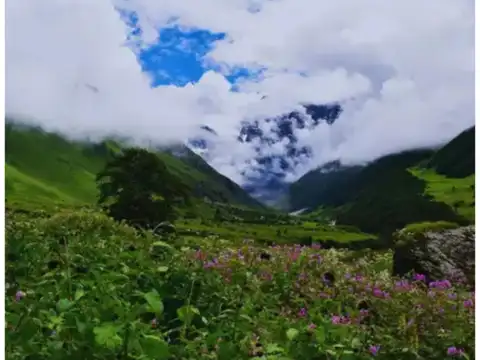 Valley of Flowers, Uttarakhand- A Blooming Monsoon Wonderland